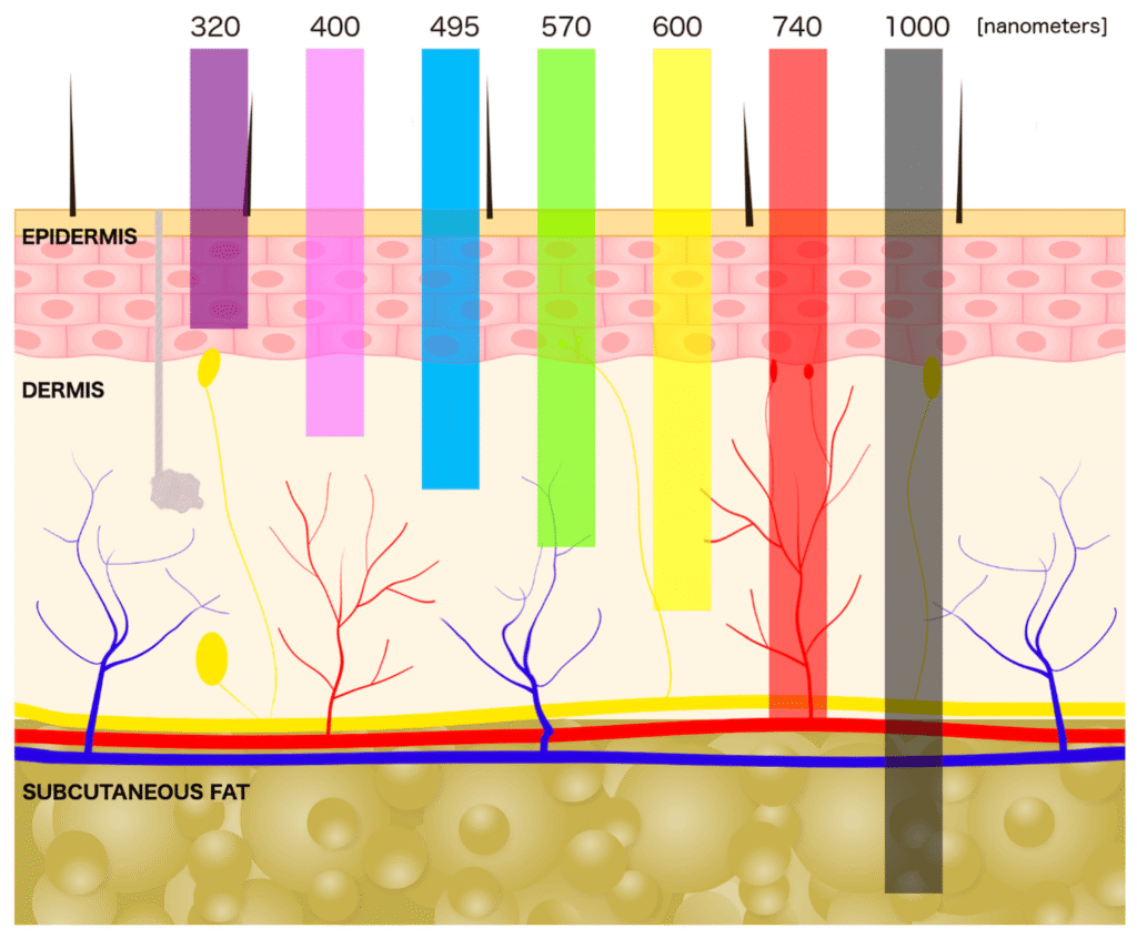 Skin Penetration by Wavelength